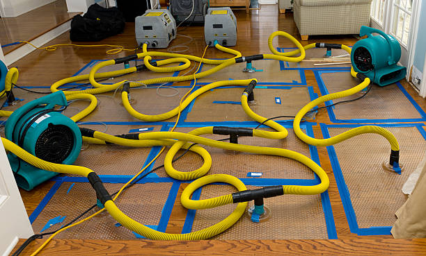 Professional Crawl Space Water Removal technician working in Elsah, IL